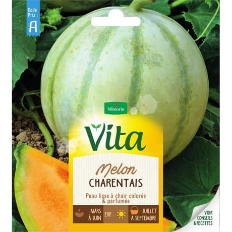Vita Vilmorin melon charentais