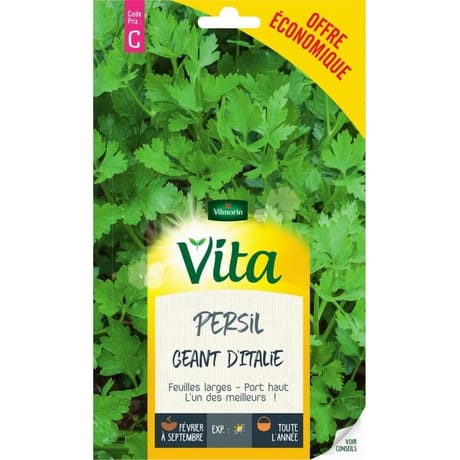 Vita Vilmorin persil geant italie eco