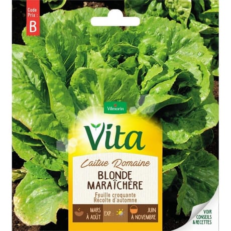 Vita Vilmorin laitue romaine blonde maraichère