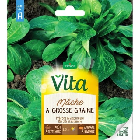 Vita Vilmorin mache grosse graine