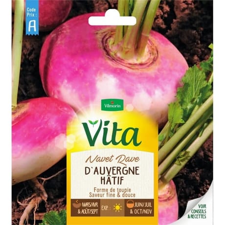 Vita Vilmorin navet auvergne hatif