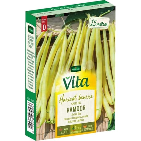 Vita Vilmorin haricot ramdor