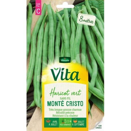 Vita Vilmorin haricot monte cristo