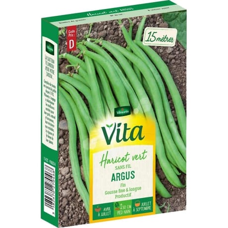 Vita Vilmorin haricot argus