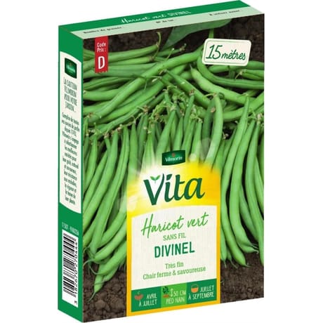 Vita Vilmorin haricot divinel