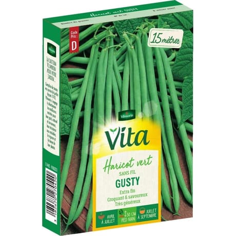 Vita Vilmorin haricot gusty