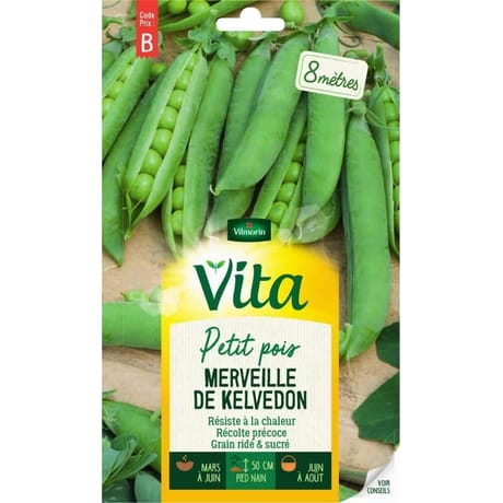 Vita Vilmorin pois merveille kelvedon