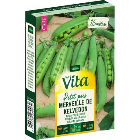 Vita Vilmorin pois merveille kelvedon