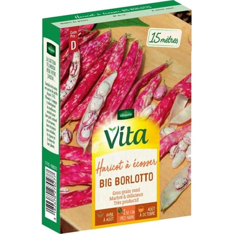 Vita Vilmorin haricot big borlotto