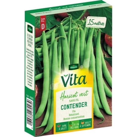 Vita Vilmorin haricot contender