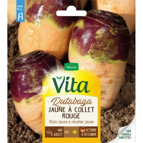 Vita Vilmorin rutabaga collet rouge