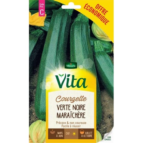 Vita Vilmorin courgette verte noire maraichere eco