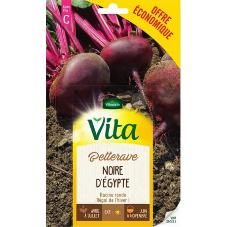 Vita Vilmorin betterave noire egypte eco