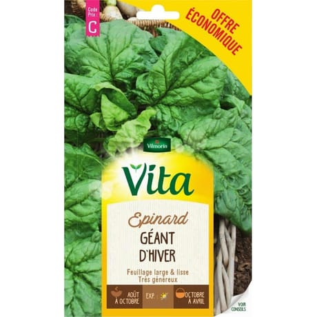 Vita Vilmorin epinard geant hiver eco