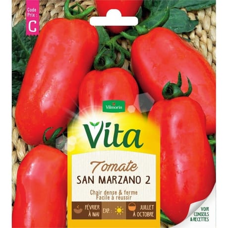 Vita Vilmorin tomate san marzano 2