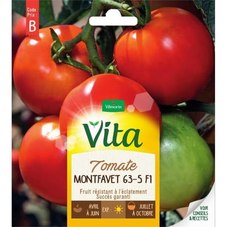 Vita Vilmorin tomate monfavet