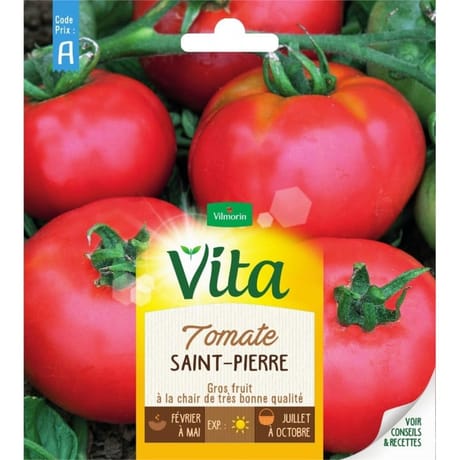 Vita Vilmorin tomate saint pierre