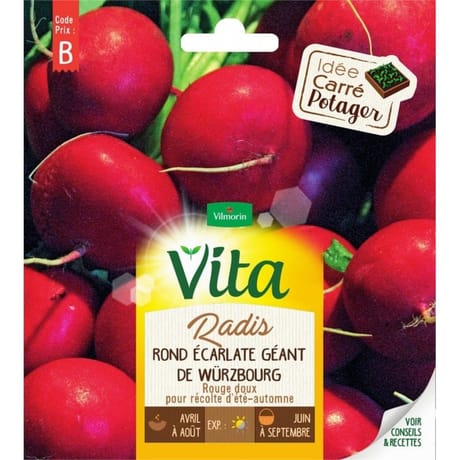 Vita Vilmorin radis rond wurzbourg