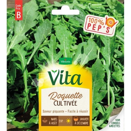 Vita Vilmorin roquette cultivee