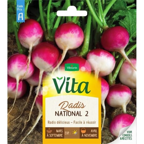 Vita Vilmorin radis national 2