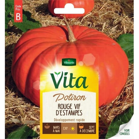 Vita Vilmorin potiron rouge vif etampes