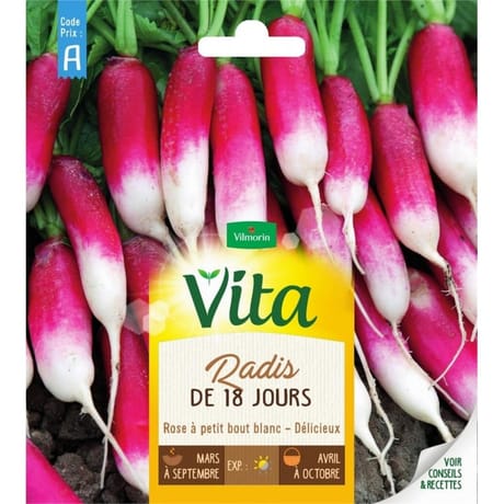 Vita Vilmorin radis de 18 jours