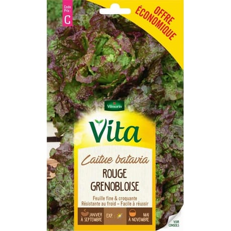 Vita Vilmorin laitue batavia rouge grenobloise eco