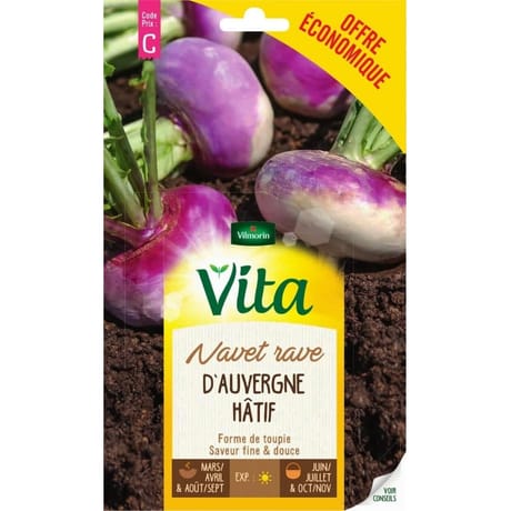 Vita Vilmorin navet auvergne hatif eco