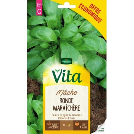 Vita Vilmorin mache ronde maraichere eco
