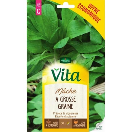 Vita Vilmorin mache grosse graine eco