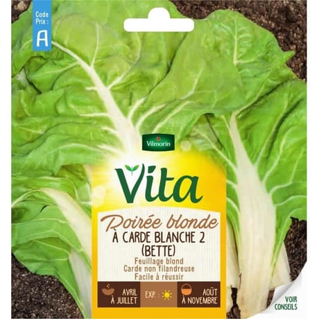 Vita Vilmorin poiree blonde carde blanc 2