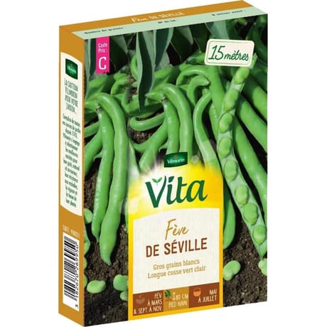 Vita Vilmorin feve seville
