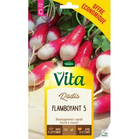 Vita Vilmorin radis flamboyant 5 eco