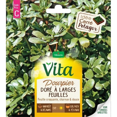 Vita Vilmorin pourpier dore