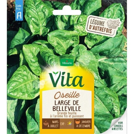 Vita Vilmorin oseille large belleville