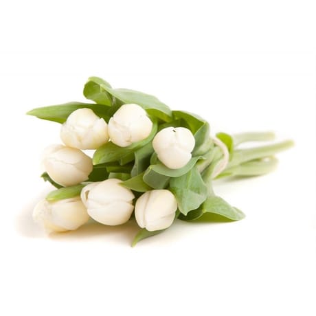 Bouquet de 10 tulipes blanches promotion