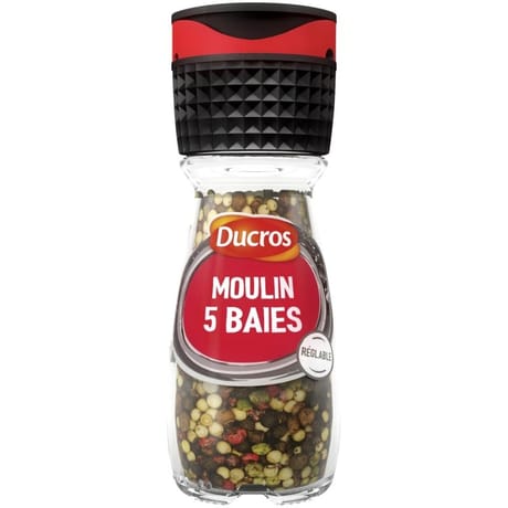Ducros moulin 5 baies doux 26g