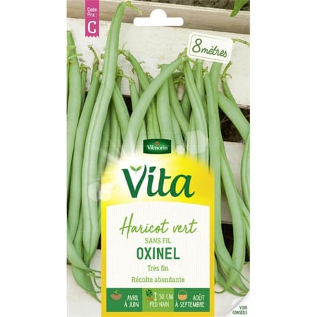 Vita Vilmorin haricots oxinel