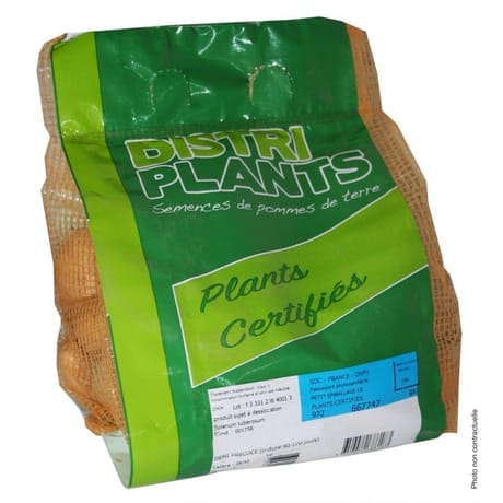 Alouette 28/35 verbag de 25 plants