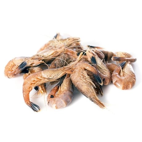Crevettes grises