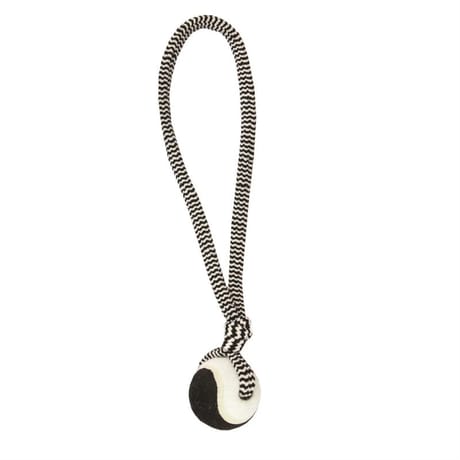 Riga zebra balle + corde