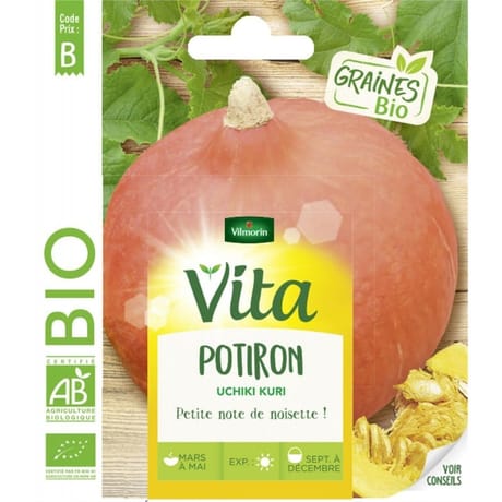 Vita Vilmorin potiron uchiki kuri bio