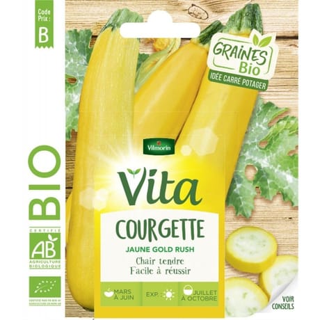 Vita Vilmorin courgette gold rush bio