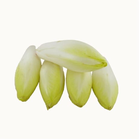 Endives le sachet de 1kg