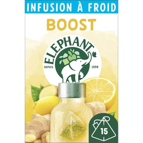 Elephant infusion à froid boost gingembre citron x15 34g