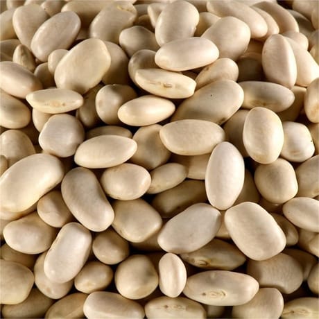 Juste bio haricots blancs bio