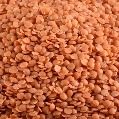 Juste bio lentilles corail bio
