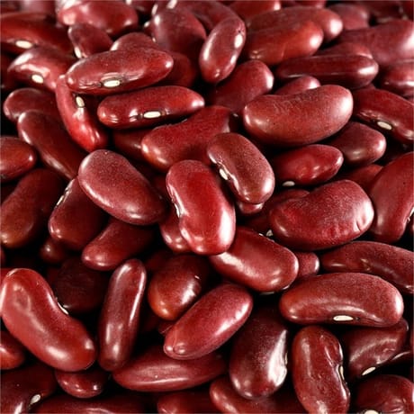 Juste bio haricots rouges bio