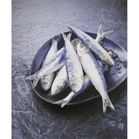 Sardine