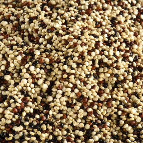 Juste bio quinoa tricolore bio